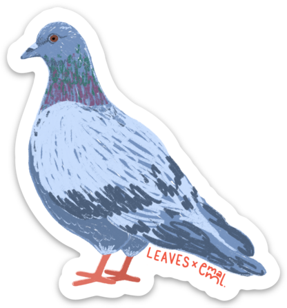 Pigeon Magnet