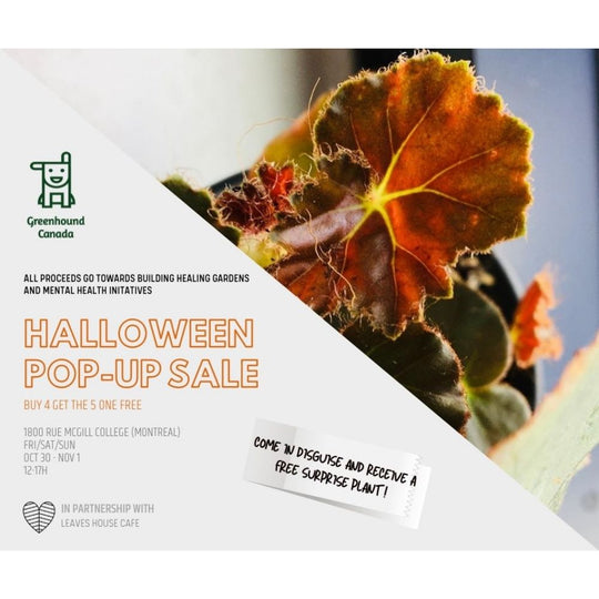 Huge Halloween Pop-Up Plant Sale!
