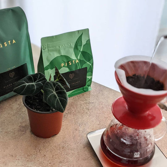 Leaves and Pista Coffee Launch Black Velvet Espresso